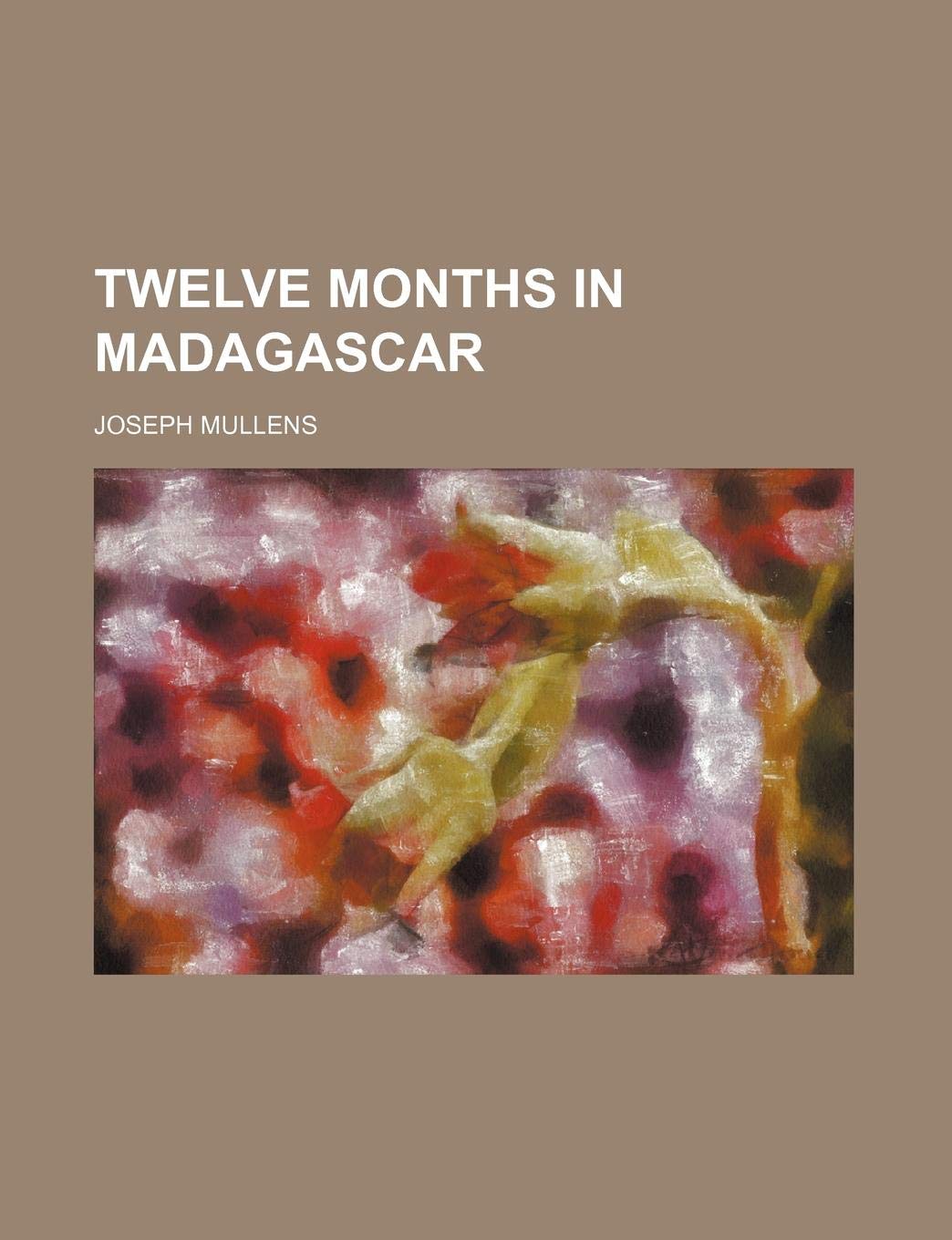 Buy Twelve Months in Madagascar — BookShops.in