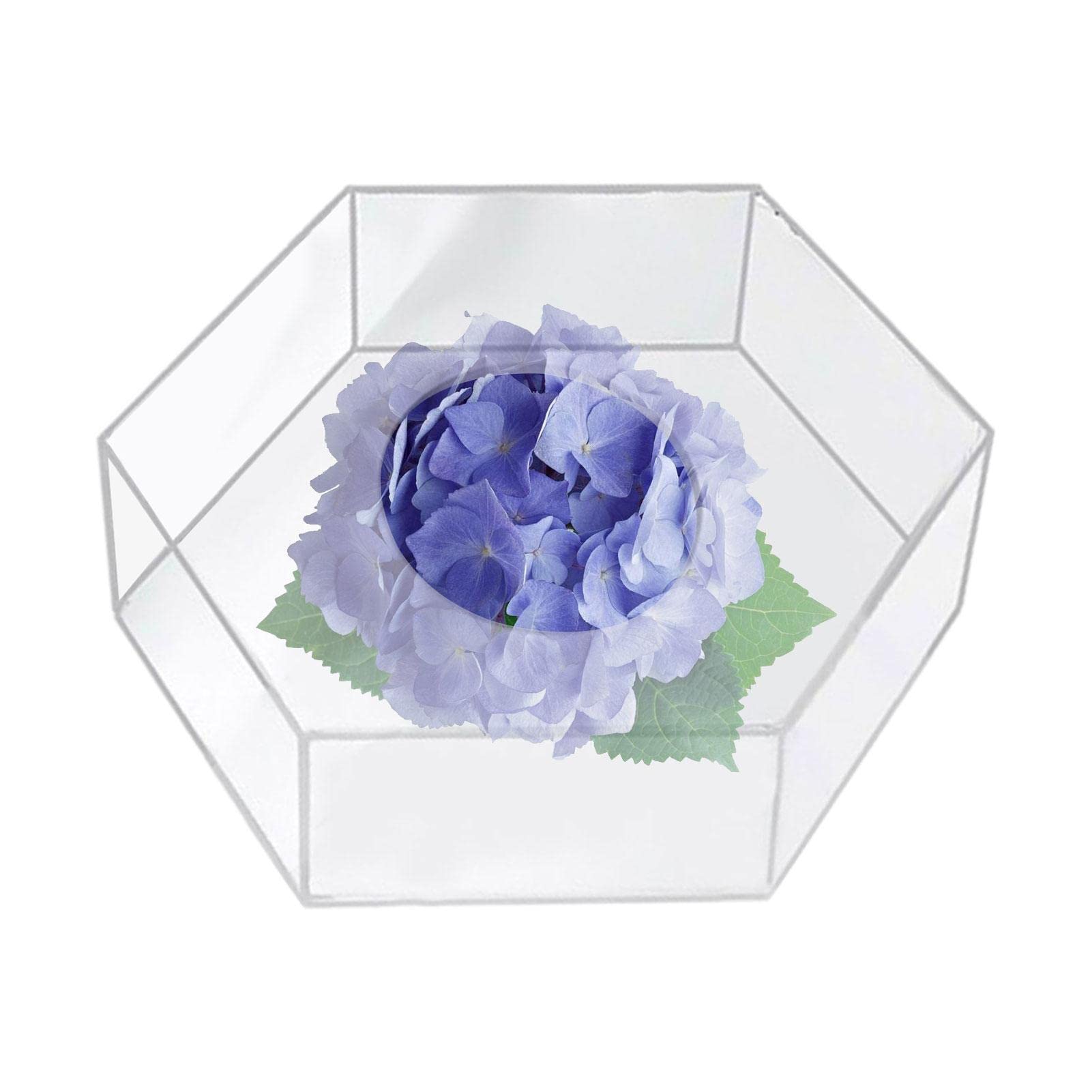 Soporte acrílico transparente para exhibición de pasteles, vitrina de postres rellenable para pasteles, pizzas y pasteles, caja de cocina para uso doméstico