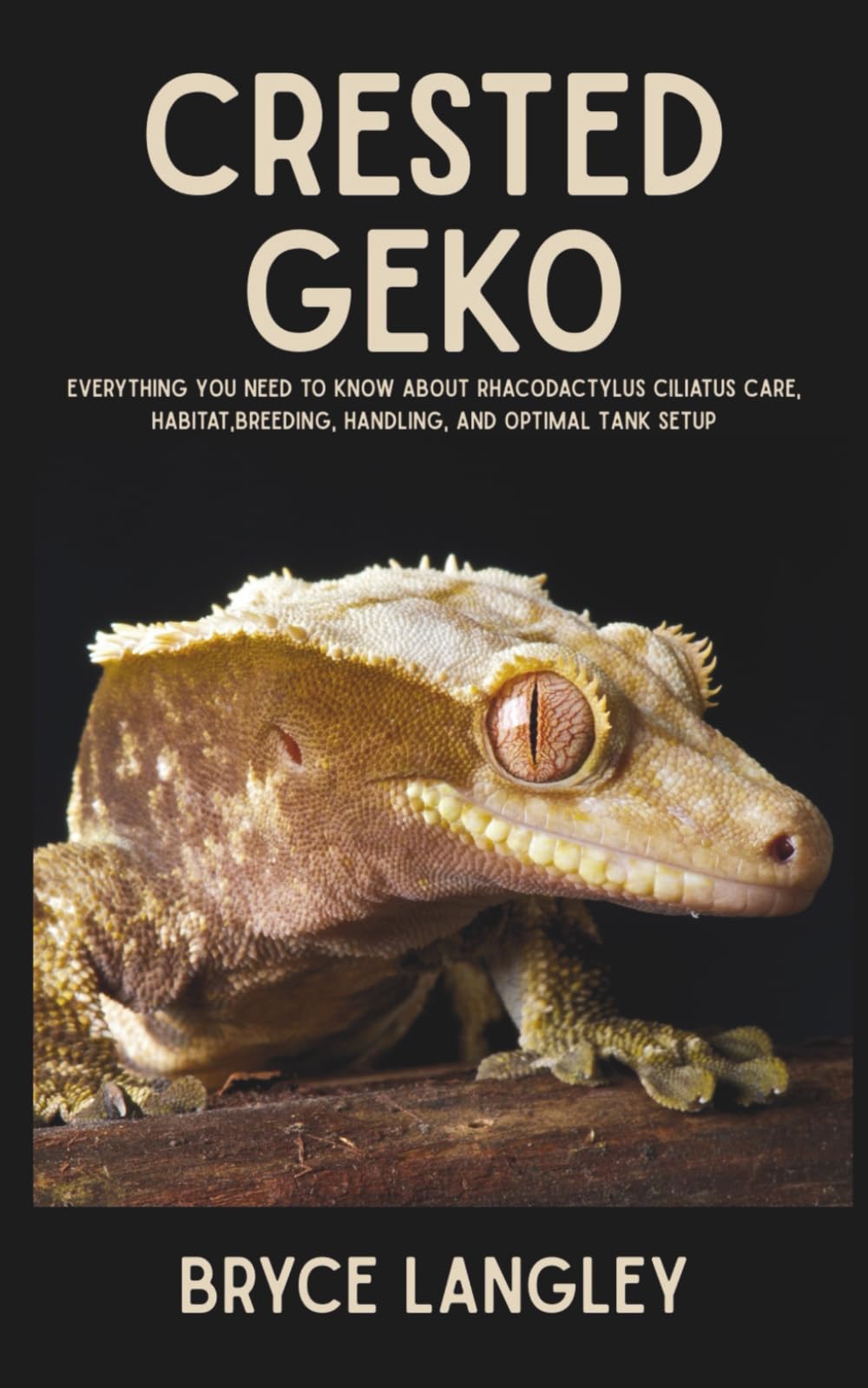 Crested Geko: Everything You Need to Know About Rhacodactylus Ciliatus Care, Habitat,Breeding, Handling, and Optimal Tank Setup