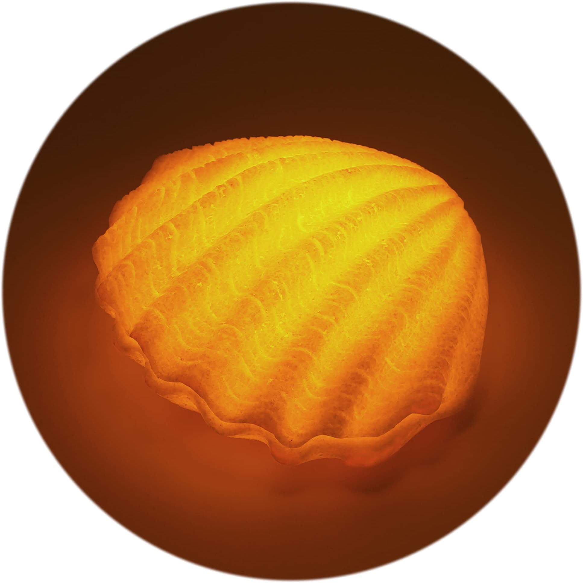 U4GLORY Beach Themed Shell Light Battery Operated Warmwhite Ocean Seashell LED Night Lamps