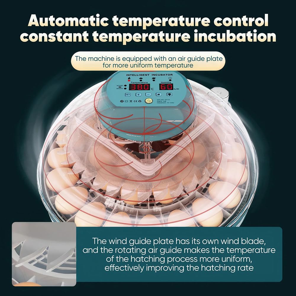 Incubatrice Uova Intelligente Automatica - Per Galline E Quaglie, Controllo Temperatura - Foto 3