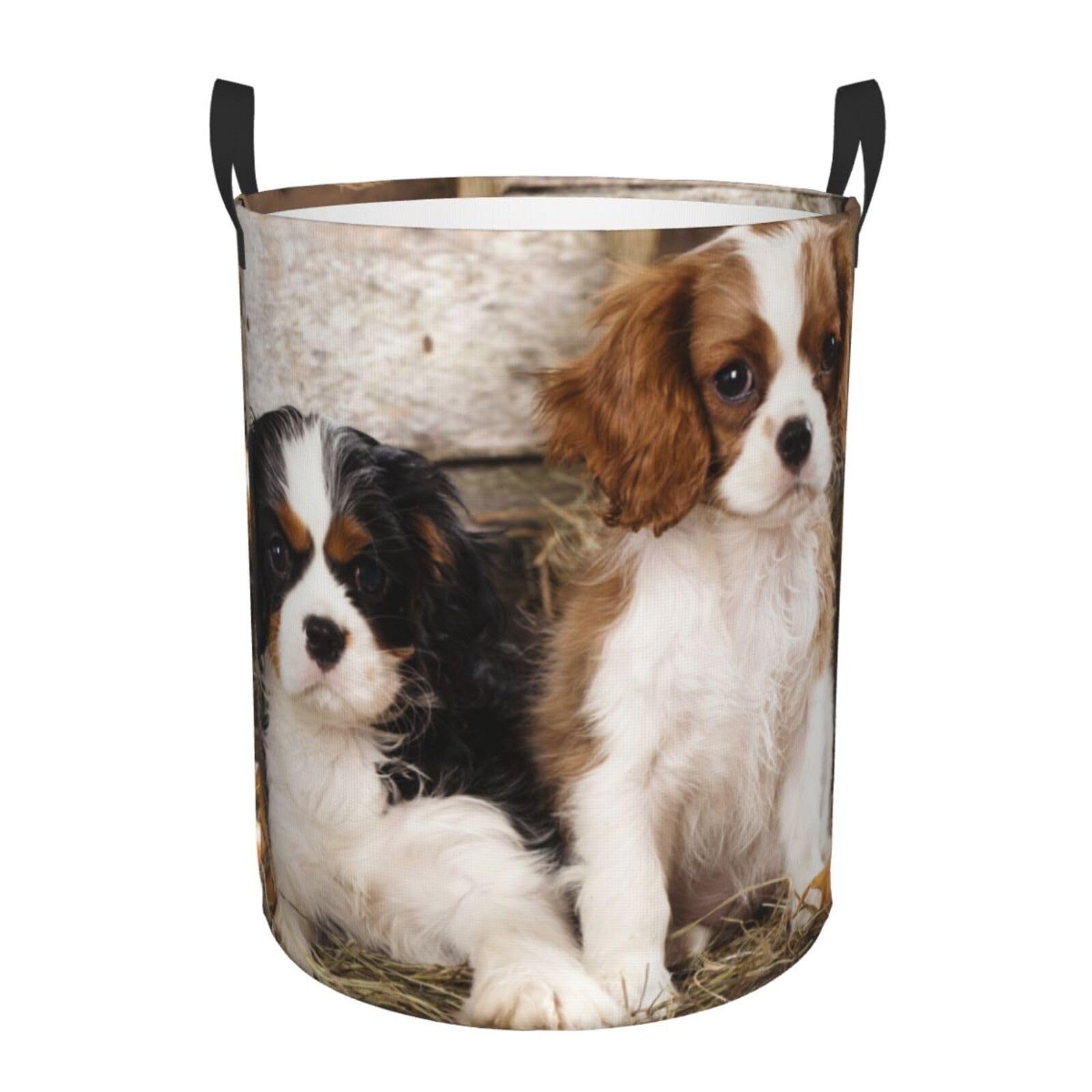 Fukker As Picture Laundry Hamper,Laundry Hamper Toy Organizer Waterproof Nursery Hamper Medium For Home,Cavalier King Charles Spaniel Small Puppies