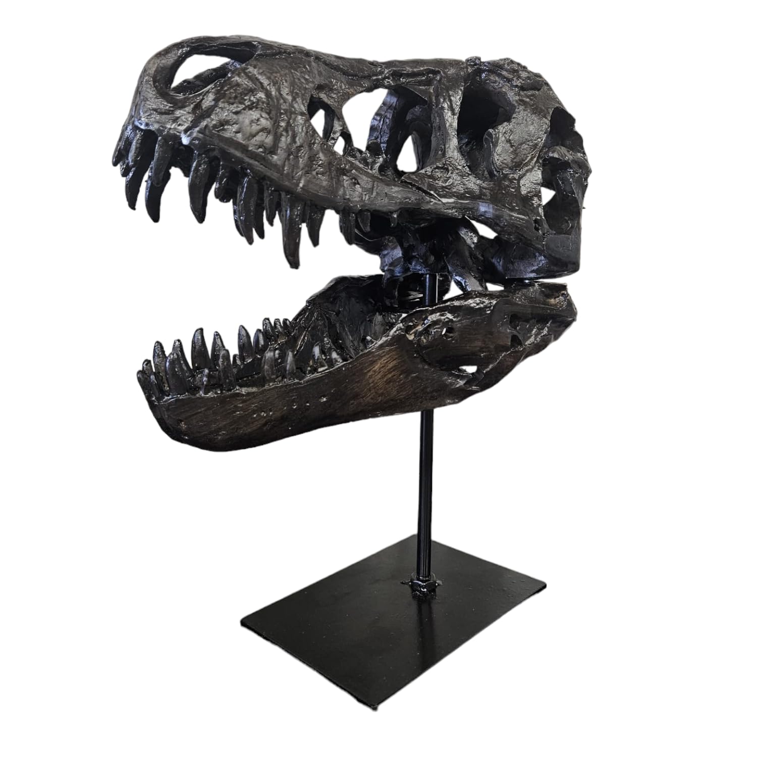 Greatgift Black T-Rex Skull Xxl On Metal Stand - Replica - Tyrannosaurus Rex - Dinosaur - Fossil - Luxury Decoration - 30X25cm