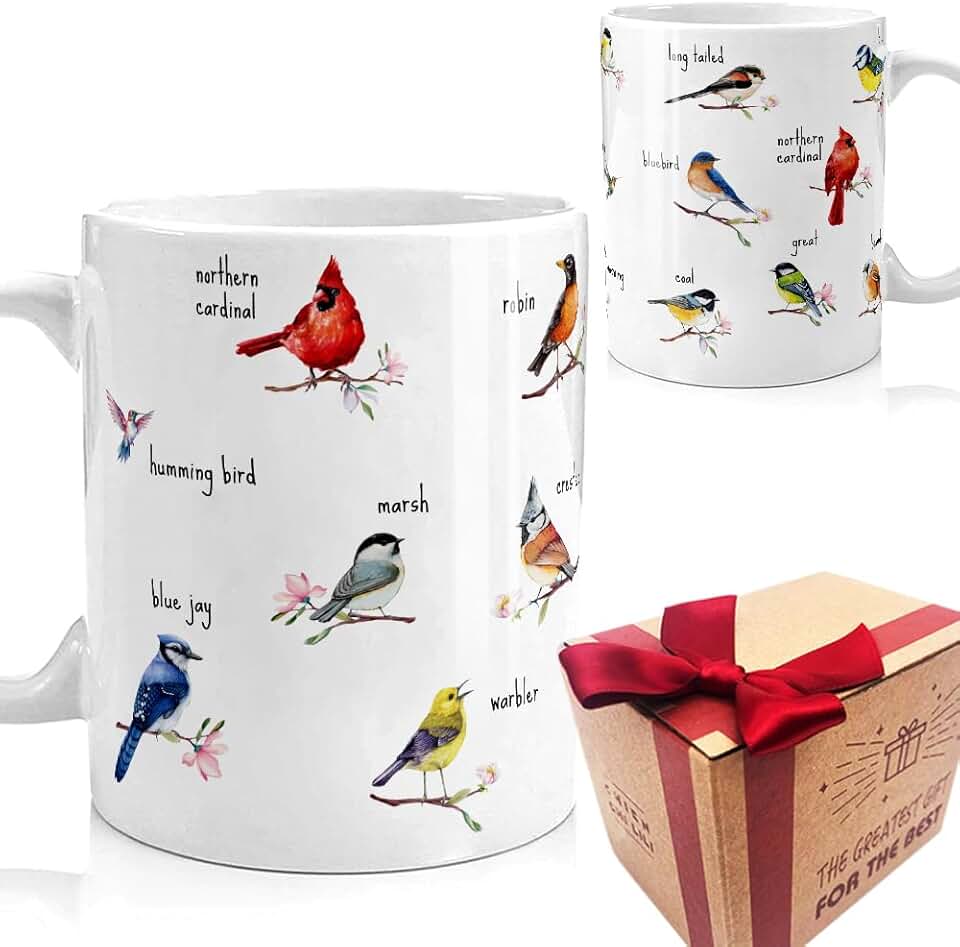 Novelty Types of Birds Animal Mug Gifts for Bird Lovers, Funny Bird Watcher Gift for Ornithologist, Cardinal Hummingbird Kingfisher Birds Christmas Gifts 11Oz