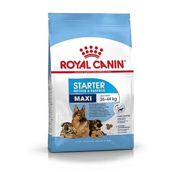 Royal Canin Maxi Starter Dry Chicken Dog Food, 4kg
