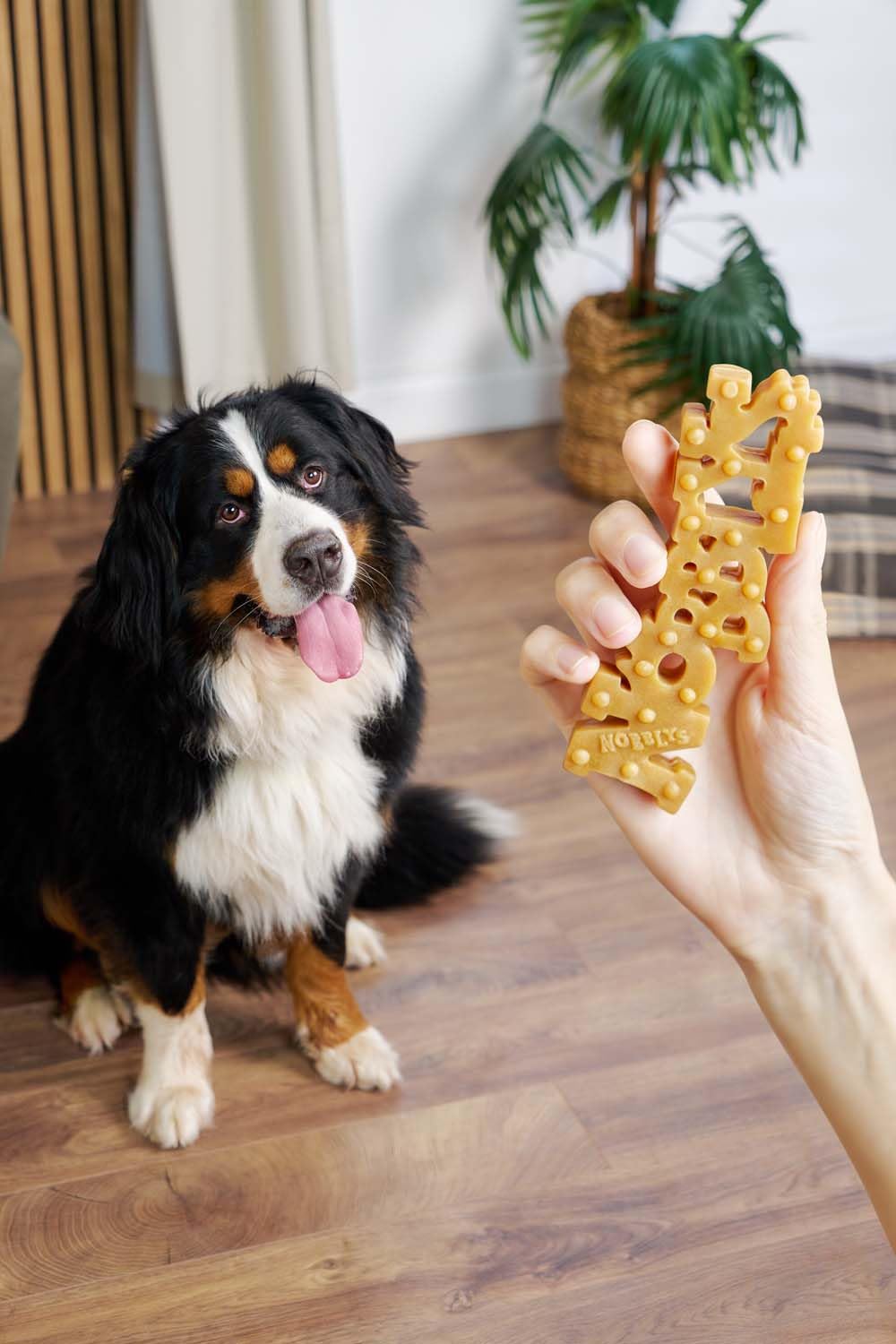 Nobblys Dog Treat Dental Chew Natural Treat For Dogs Dental Sticks Long Lasting Vegetarian Peanut Butter Chews, 24 x 60g - Image 4