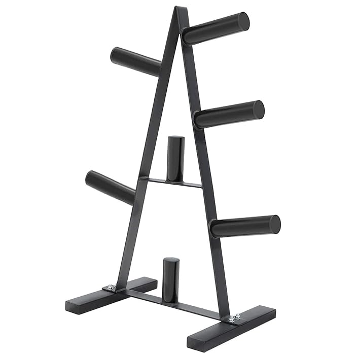 Buy WSR5W Weight Plate Rack, Frame Weight Plate Tree for 2 inch Plates