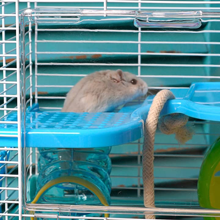 Hamster Cages The Best Habitats For Your Hamster DodoWell, 60 OFF