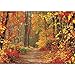 Produktbild Vlies Fototapete PREMIUM PLUS Wand Foto Tapete Wand Bild Vliestapete - Weg Wald Bäume Herbst Laub Baum Natur - no. 994, Größe:200x140cm Vlies