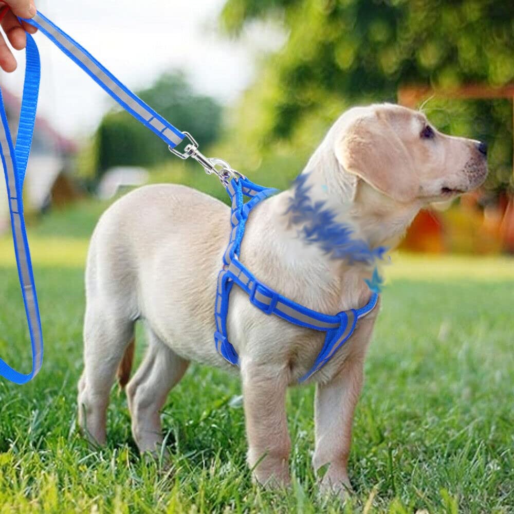 Pups&Pets Adjustable Soft Nylon Strip Radium Dog Harness & Leash Set for Puppies and Small Breed Dog Reflected Harness & Leash Set 15mm (Blue Color) (B0B2DNT68S) Amazon Price History, Amazon Price Tracker