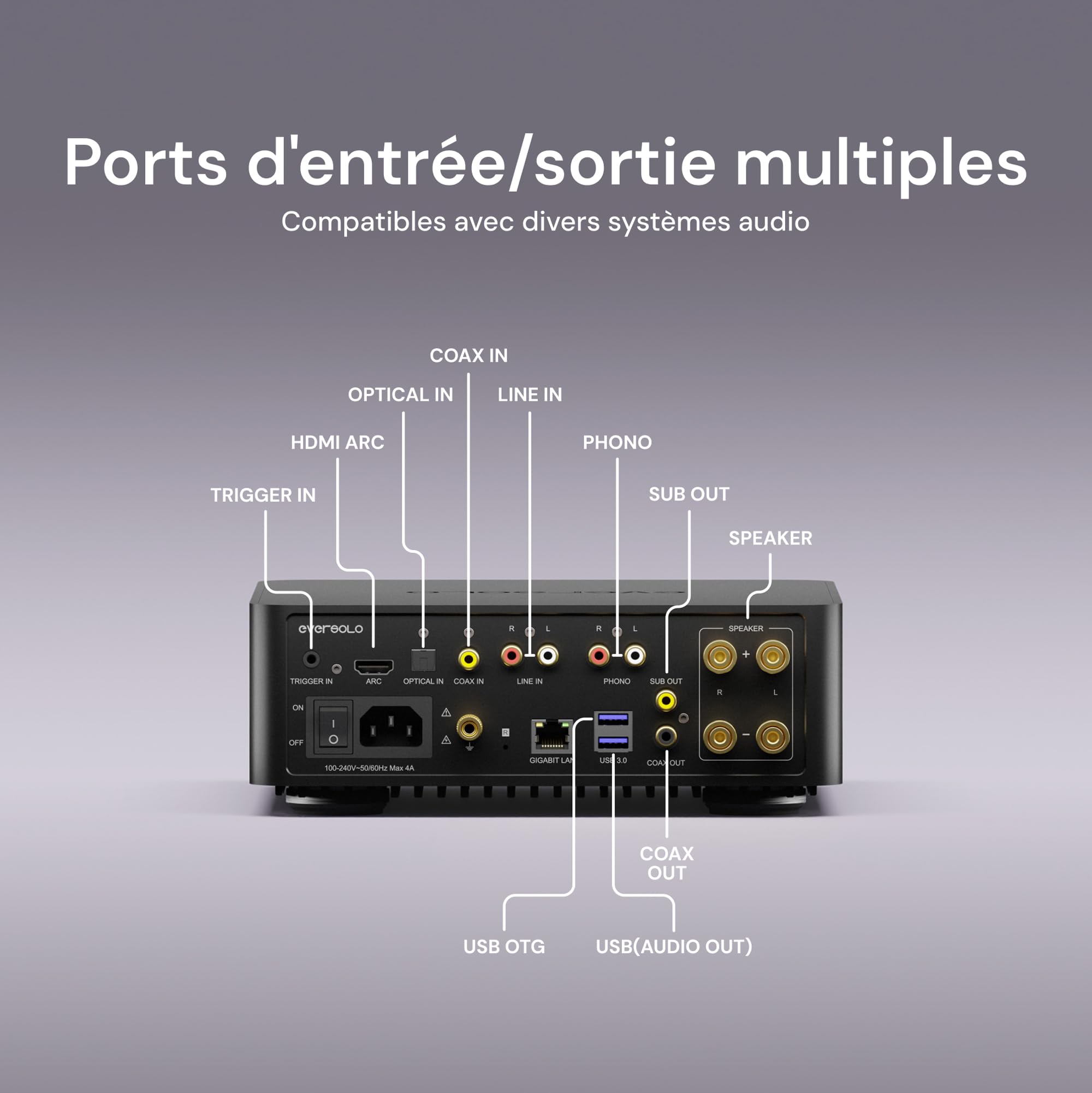 EVERSOLO Play Lecteur de Musique Tout-en-Un avec Amplificateur | Écran Tactile de 5,5 Pouces, Prise en Charge Multiroom et Correction de Pièce, Diffusion Tidal, Qobuz et Plus | Noir(Édition Standard)