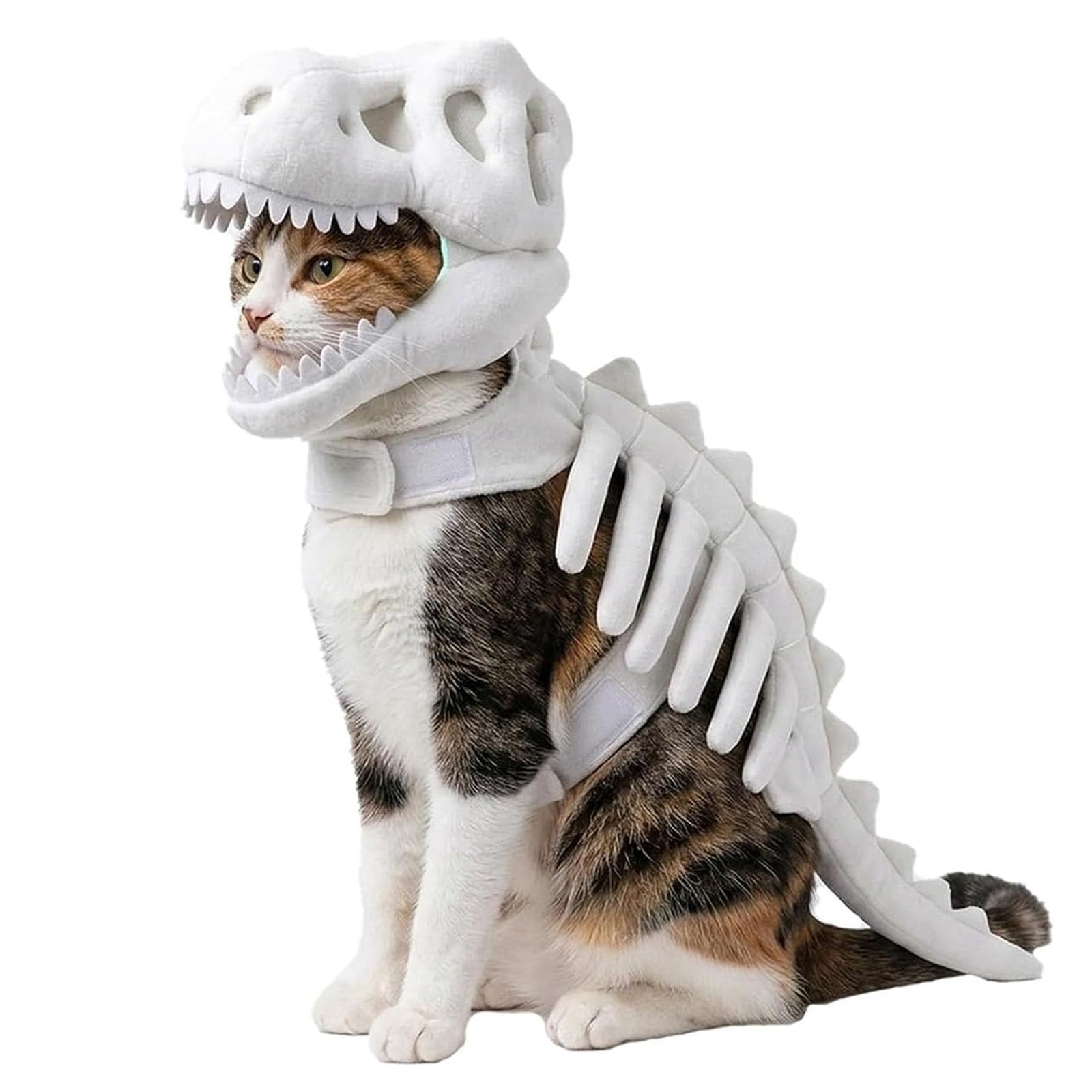 Halloween Cat Costume Plush Dinosaur Skeleton Pet Outfit (B)