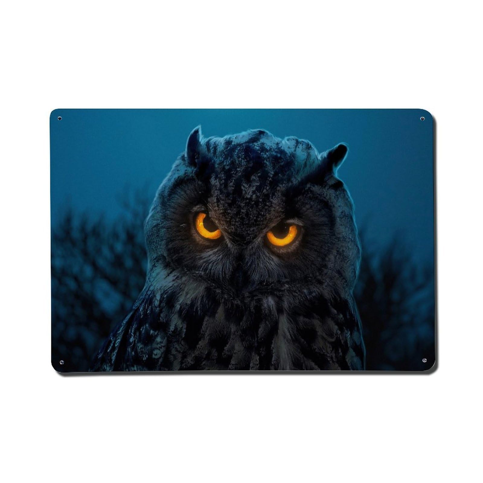Birds Animal Wildlife Vintage Mystery Totem Owl Visual Culture Metal Tin Sign Plaque Wall Decor for Cafe, Man Cave, Club Bar, Office, Home Garden Round Metal Poster 8x12Inch