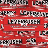 Fan-Kultur Xperience