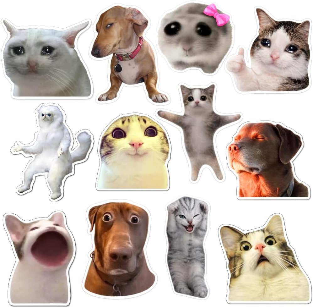 Funny Magnets, Fun Cute Cool Meme Phrase Quote Word Magnet Set for Adults; Applicable on Fridge, Refrigerator & Car with Jesus I Saw that, itโs fine cat & Dog Gifts (B)