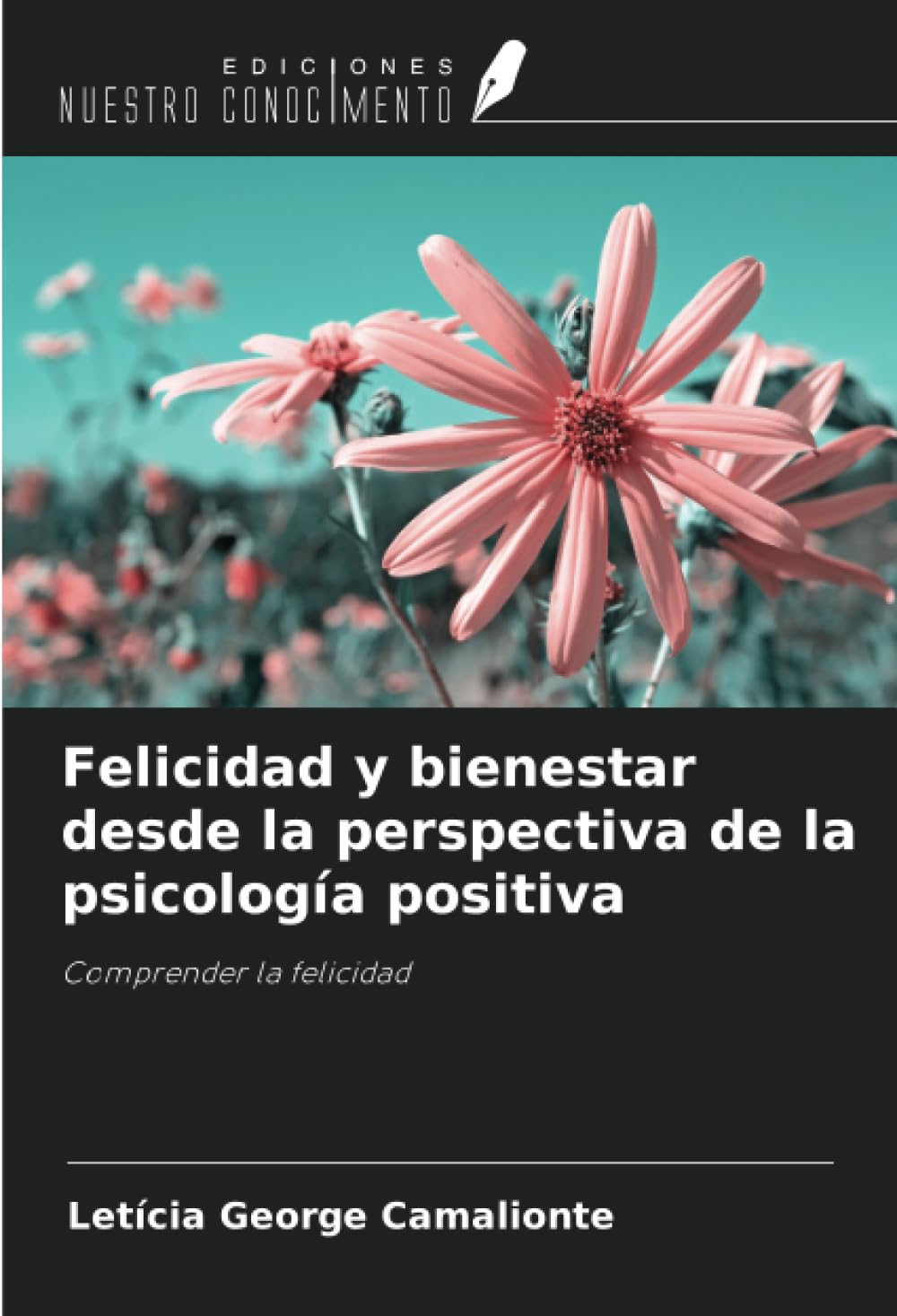 Felicidad y bienestar desde la perspectiva de la psicología positiva: Comprender la felicidad