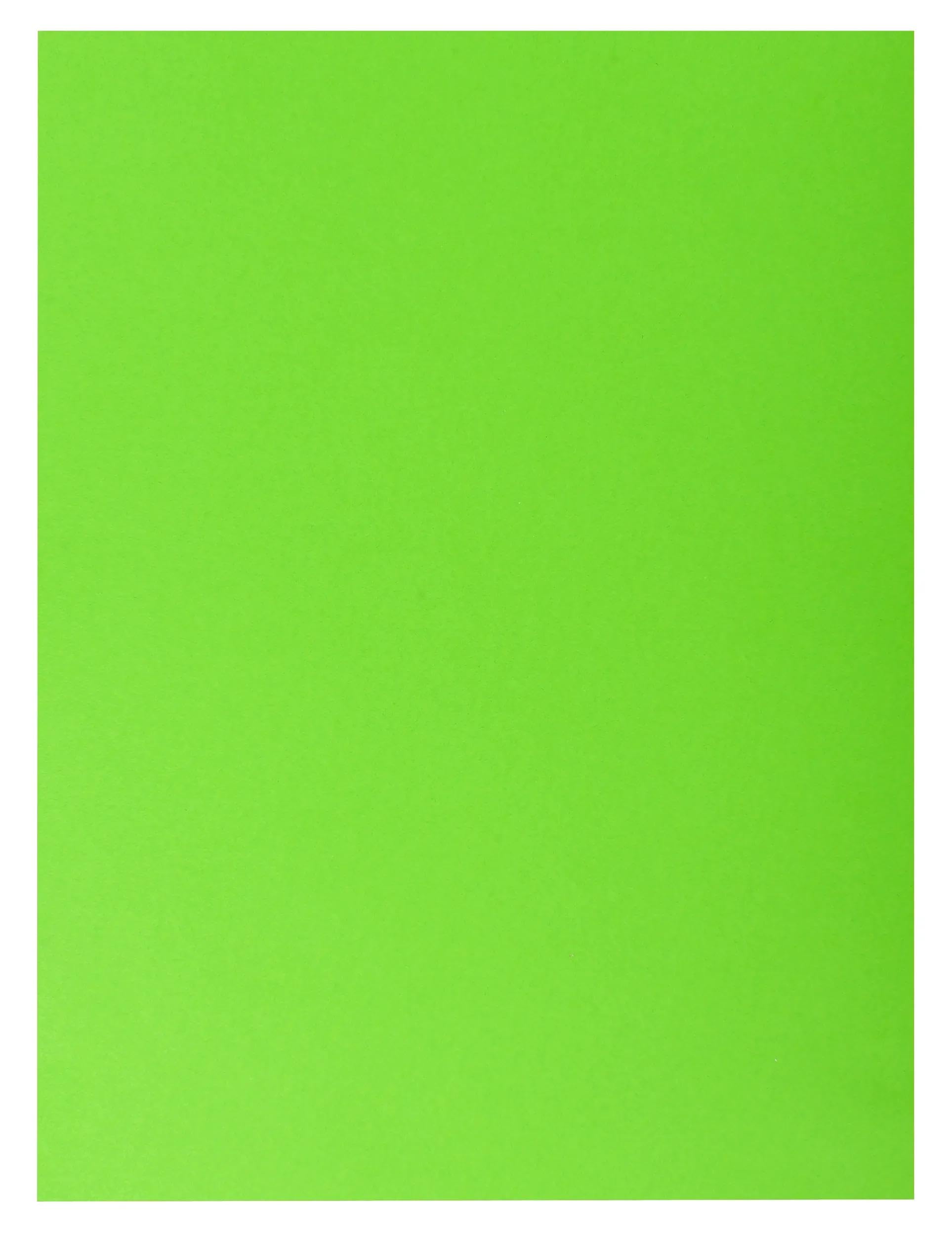 Exacompta - Ref 415003E - Box of 250 Rock''S Double Pocket folders 210 g/m² - Bright Colours - PEFC™ Certified folders - Size 24 x 32 cm for A4 documents - Green