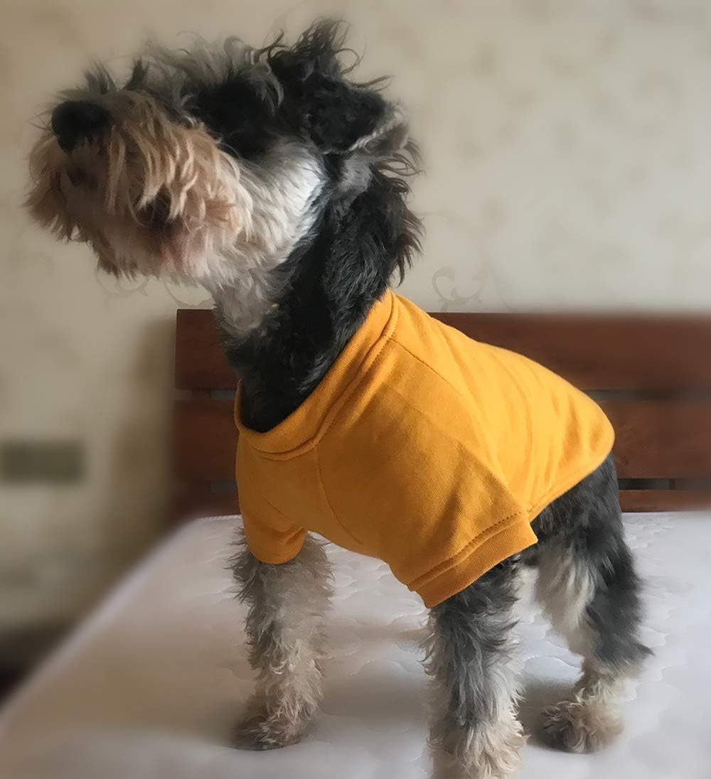 Lovelonglong Dog Pullover Sweatshirt Autumn Winter Cold Weather Dog T-Shirts for Small Medium Large Size Dogs Chihuahua Clothes Orange XS - Image 4