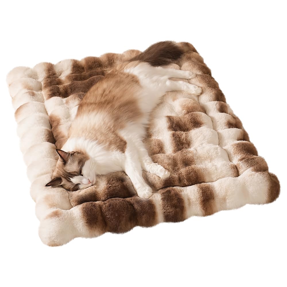 SOMAHE Cat Bed Ultra Soft Plush Machine Washable Pet Mat with Non-Slip Rubber Bottom for Indoor Cats & Dogs Faux Fur Cushion Pad for Floor Couch Carrier for Kittens & Puppies 23 x 15 Inch Medium Brown