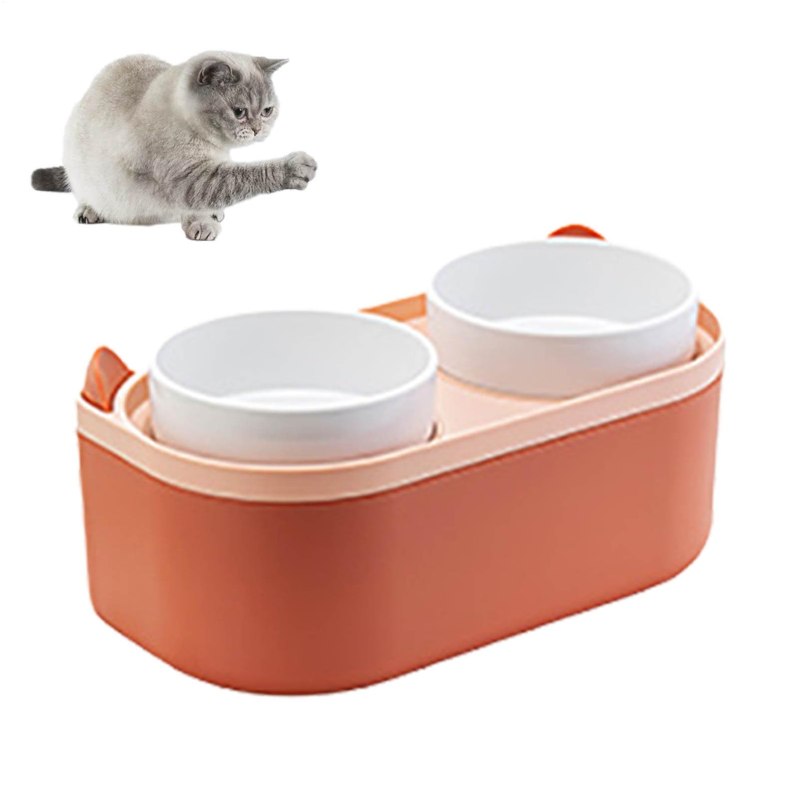 ergonomica per, riutilizzabile per gatti ¦ Robusta | mangiatoia per gatti, ciotole per animali domestici, articolo per gatti durante i pasti, ciotole rialzate per animali
