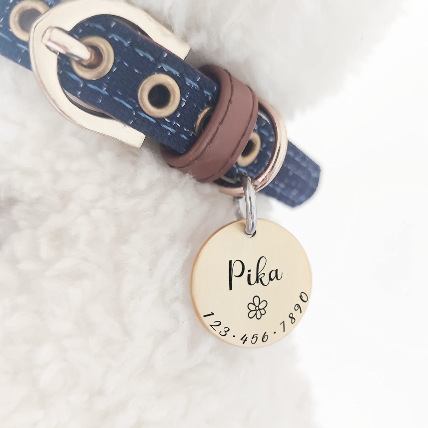 Simboli Adorabili Medagliette Identificative per Cane Gatto con Incisione Personalizzata Collare Targhetta Cani Accessori Personalizzato Nome Collana Cucciolo Acciaio Brillante Antismarrimento S