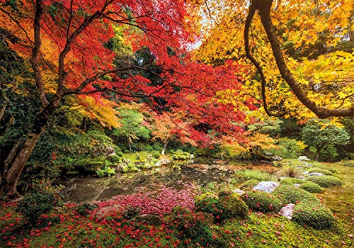 Clementoni Collection 31820, Autumn Park Puzzle For Children And Adults, 1500 Pieces, Ages 10 Years Plus Multi Coloured #TOP1