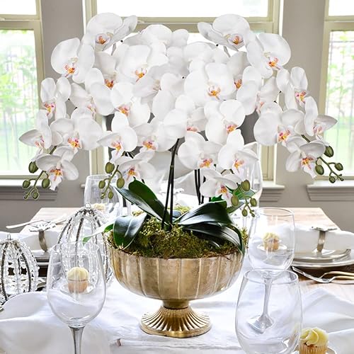 Vista 23 de DILATATA Orquídea Phalaenopsis floreciente de 31.5 pulgadas de alto, orquídea artificial de tacto real con 9 flores grandes, orquídeas falsas