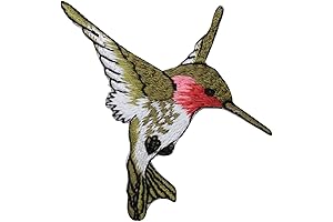 Vivid Hummingbird Embroidered Iron-On Patch