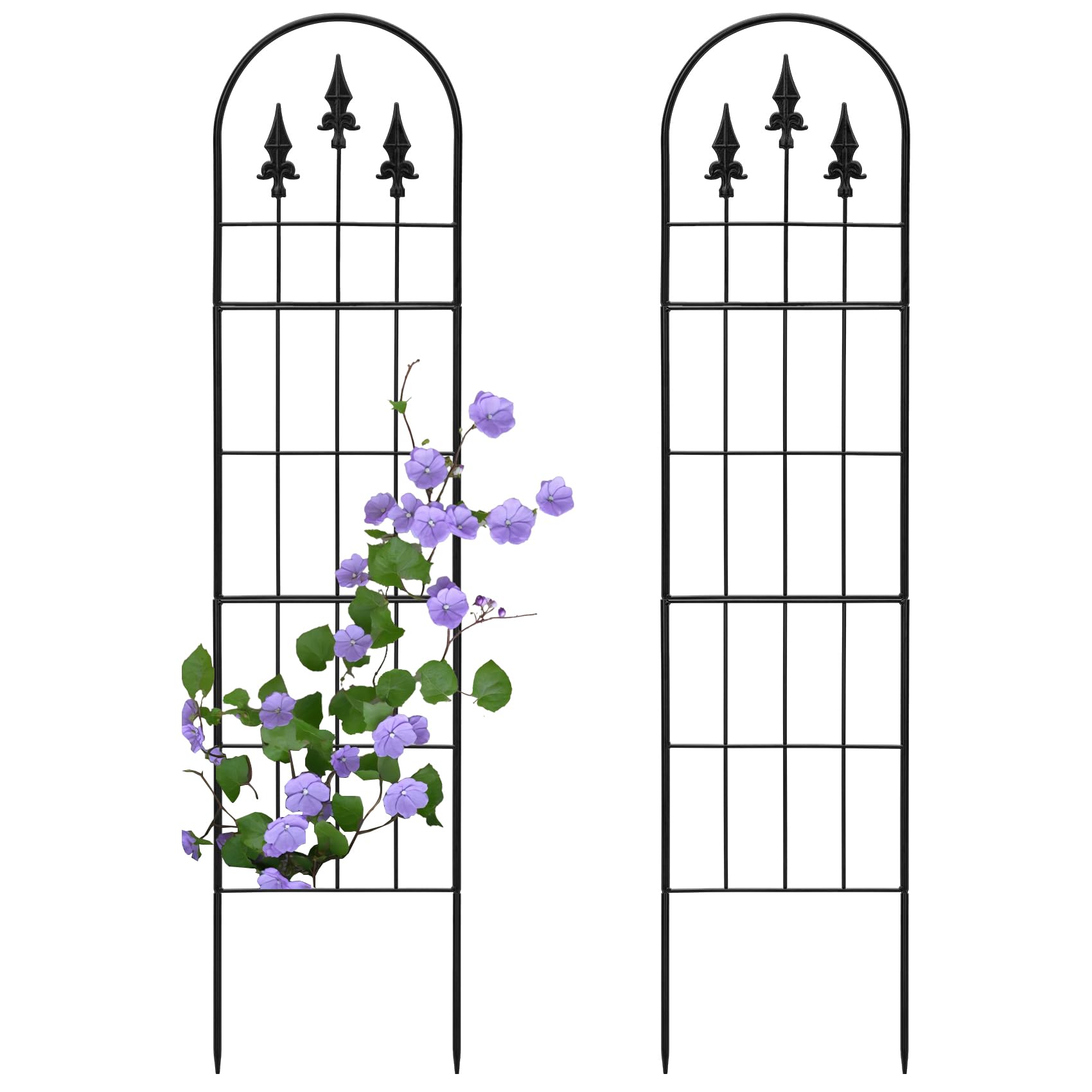 2-Pack Arched Metal Trellis