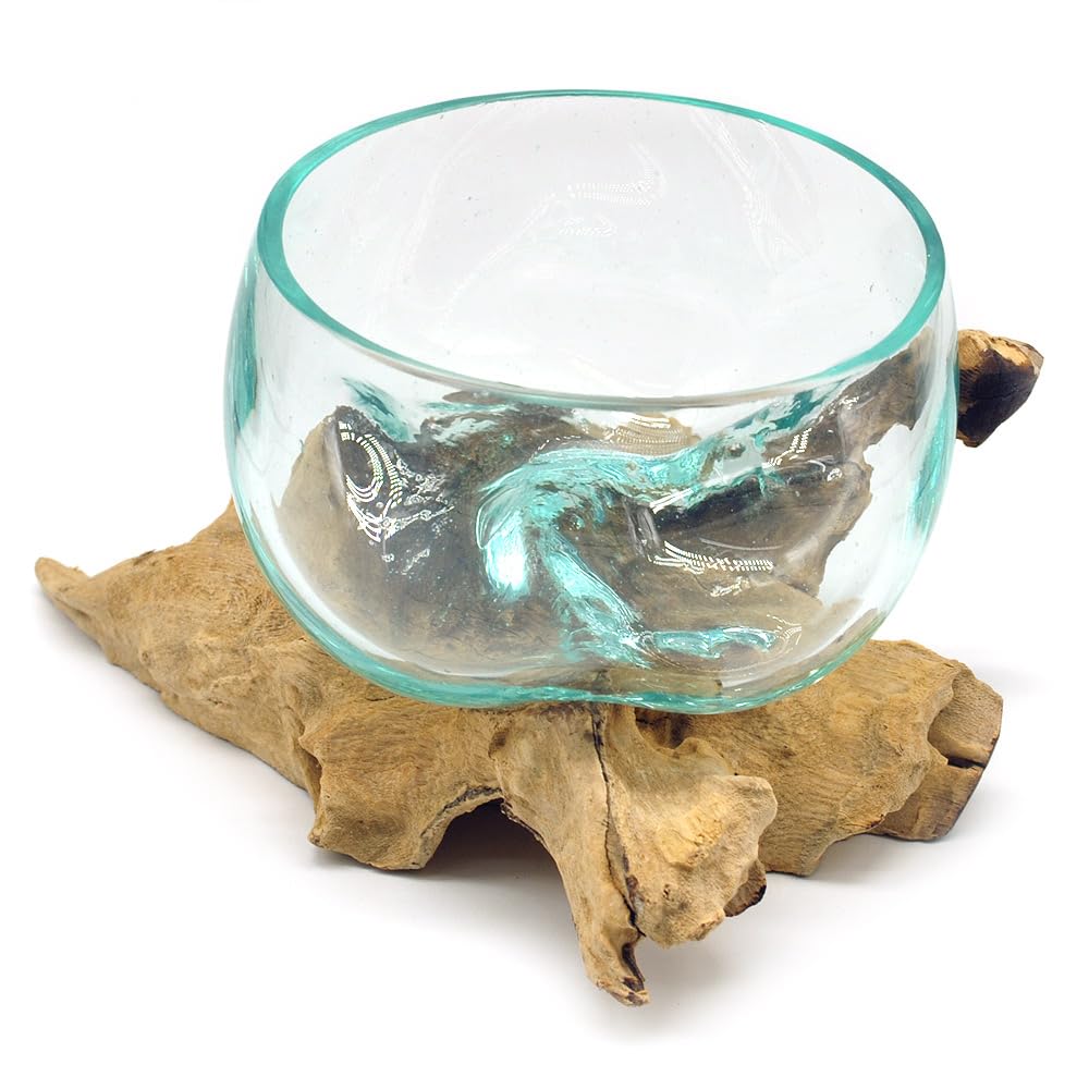 Wurzel mit Glasschale klein Schale Dekoschale Glas auf Holz Durchmesser 12-13 cm Holzdeko Teakholz Deko
