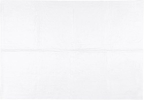 Miniatura 2 de AHS - Tapete médico de alta calidad 40 x 28 pulgadas, tapete absorbente de doble cara con parte superior duradera, núcleo absorbente, tapete ligero,