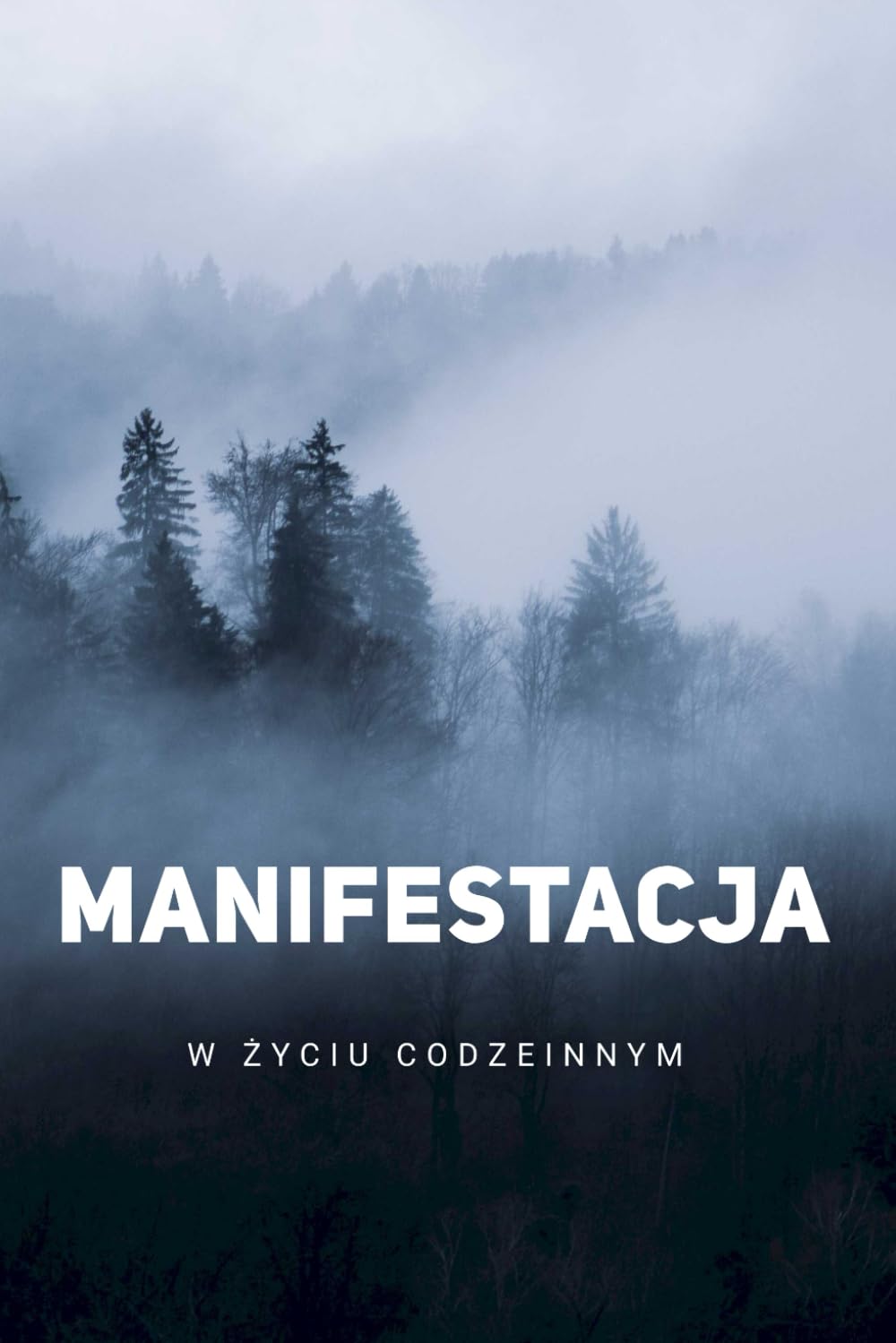 Manifestacja w życiu codziennym