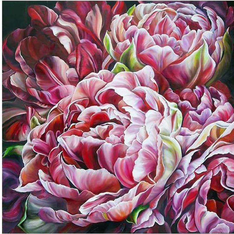 Image of TULIP N TURTLE Queen Of Garden Diy Acrylic Paint By Number Kit For Beginner Number Painting Kit Diy Canvas Painting By Number Wall Decoration Diy Painting Kit ,Multi-Coloured