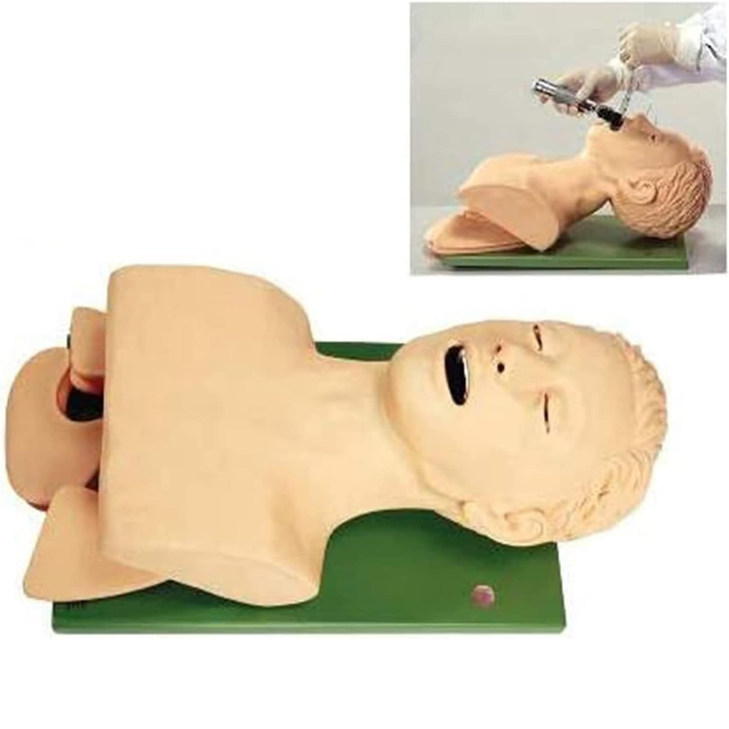 Modello umano per intubazione endotracheale - Simulatore di manichino per intubazione tracheale, kit di aiuti formativi per la gestione delle vie aeree orali e nasali per pratica/studio,220V