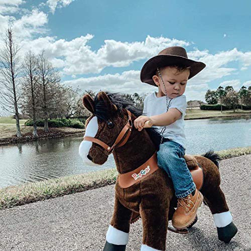 ponycycle for adults