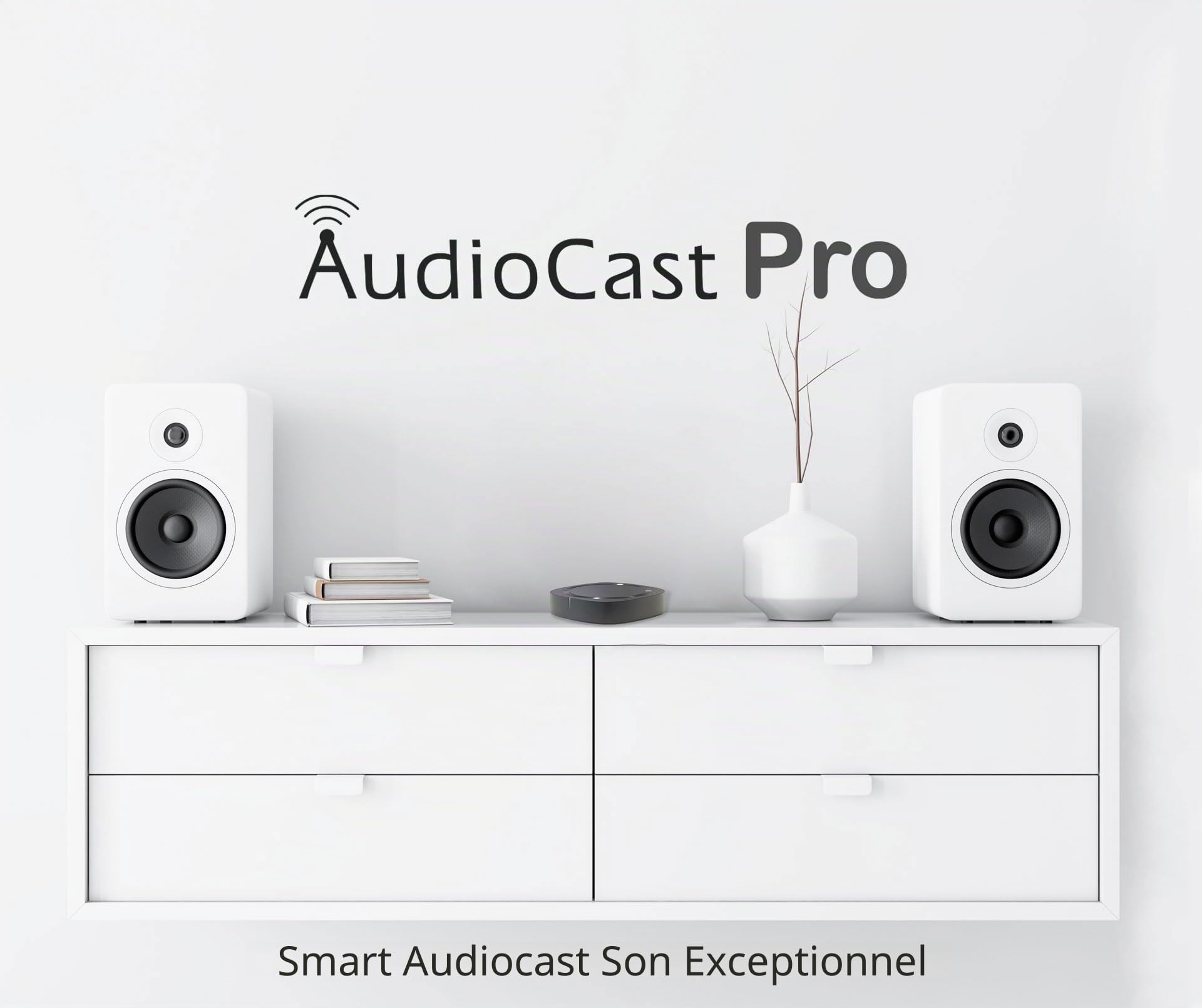Audiocast Récepteur audio sans fil multi-pièces WiFi Convertit les haut-parleurs filaires en AirPlay Compatible Bluetooth et Ethernet