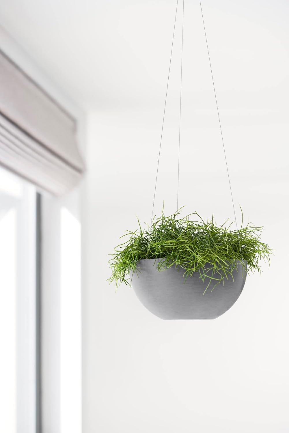 Ecopots Hanging Brussels Small Bowl Planter - 10.4in diam. x 5.1in - Grey