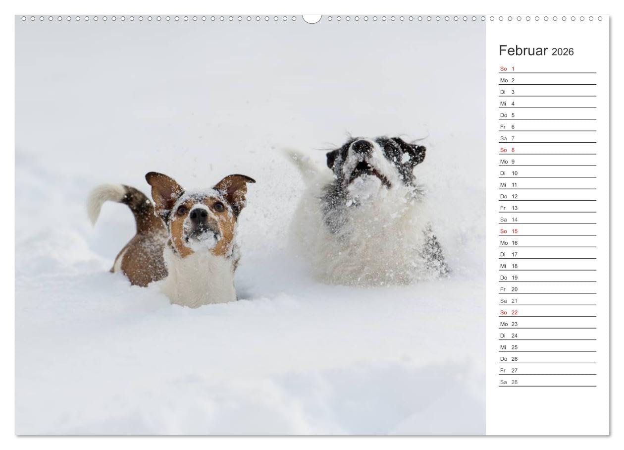 Emotionale Momente: Wild und Jagd. (hochwertiger Premium Wandkalender 2026 DIN A2 quer), Kunstdruck in Hochglanz: Der Planer für alle Jäger und Jagdfreunde. (CALVENDO Hobbys)