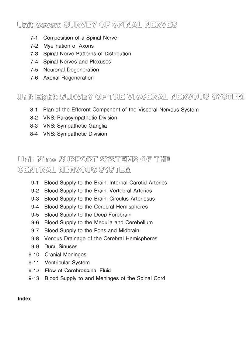 The Human Brain Coloring Book: A Coloring Book – An Interactive Guide to Neuroanatomy for Medical Students and Professionals (Coloring Concepts) - Image 3