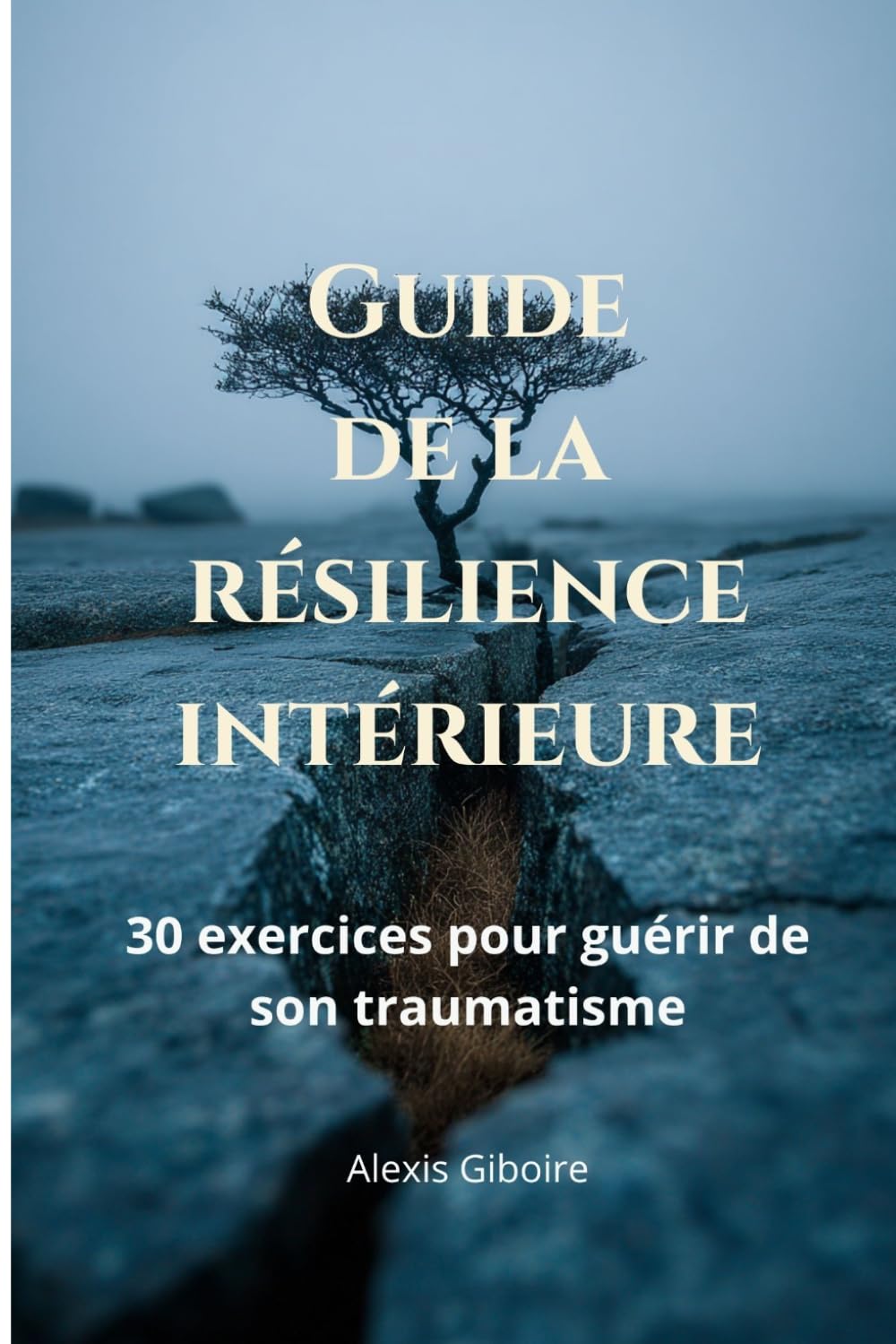 Guide de la résilience intérieure : 30 exercices philosophiques pour transformer l'épreuve en force (La philosophie qui soigne par Philosophia)