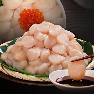 オホーツク海産 ホタテ 貝柱 1kg(小粒) (ふるさと納税 北海道産 ほたて ホタテ貝柱 刺身 冷凍 貝 海鮮 お取り寄せグルメ 北海道 遠軽町)