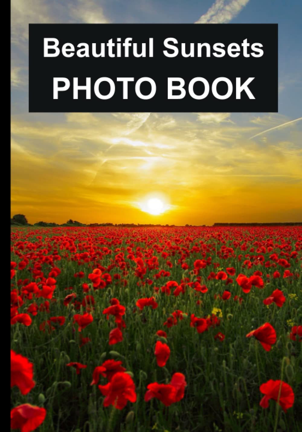 Beautiful Sunsets Photo Book: 40 Different Sunsets In Different Landscapes For Alzheimer & Dementia Sufferers To Help With Memories and Memory Loss