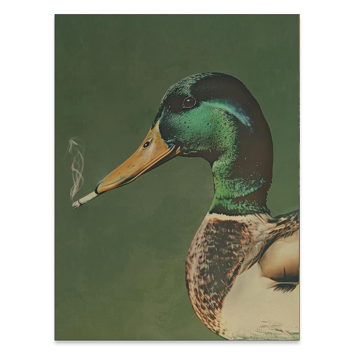 Amazon.com: Funny Mallard Duck Wall Art Whimsical Prints Vintage Duck  Smoking a Cigarette Posters Green Cabin Wall Decor 8x10 Inch Unframed for  Home Kitchen Bathroom: Posters & Prints