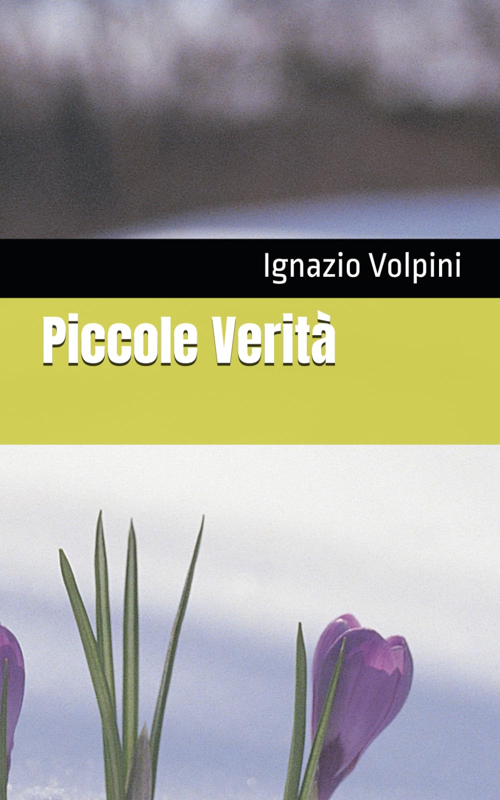 Piccole Verità