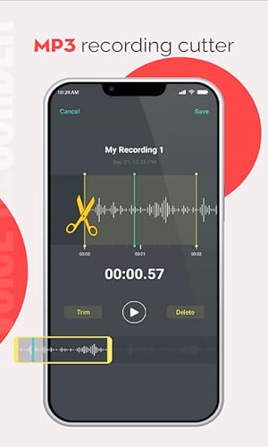 Audio Voice Recorder PRO