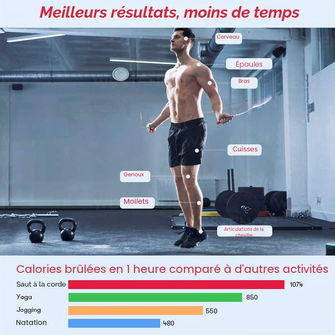 Corde à Sauter Sport, Te-Rich Corde à Sauter Sans Fil avec Compteur, Jump Rope 3M Réglable avec Roulements à Billes en Acier, Poignées Antidérapantes pour Adulte/Enfant/Fitness/Crossfit/Boxe/Gym