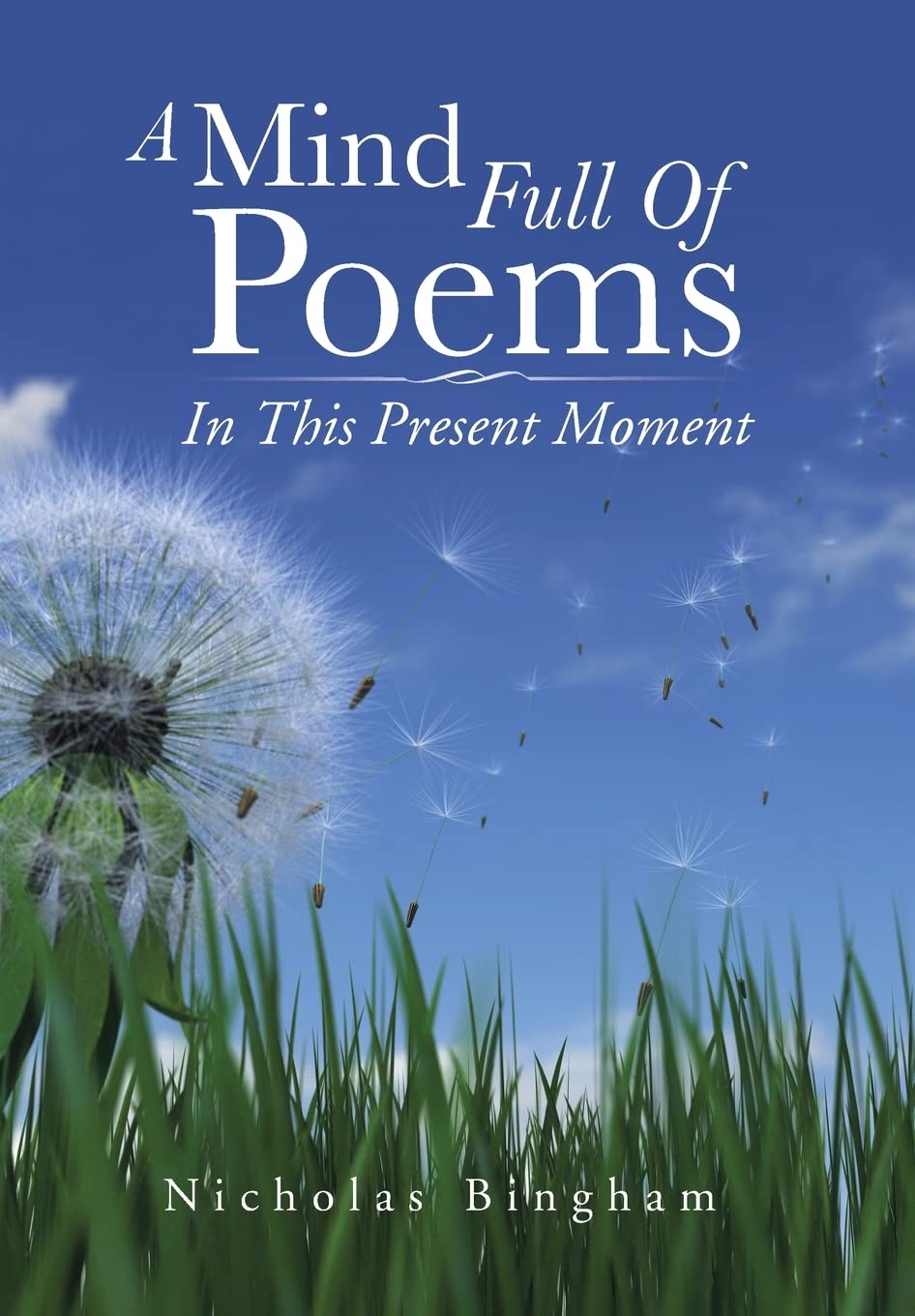 A Mind Full Of Poems: In This Present Moment