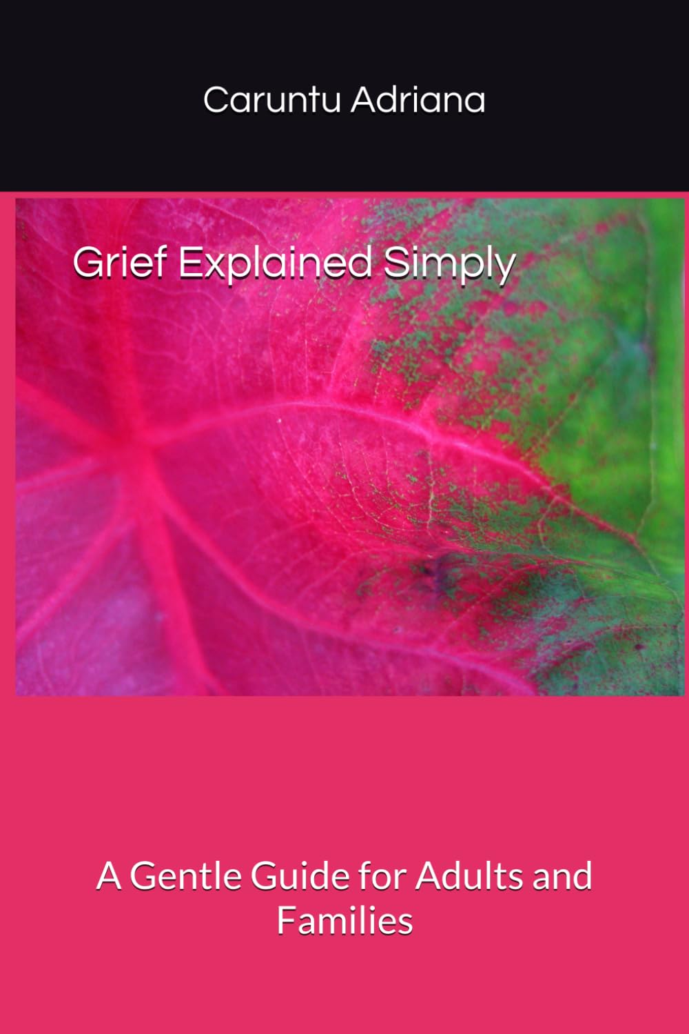 Grief Explained Simply: A Gentle Guide for Adults and Families