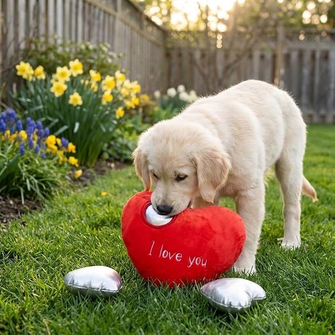 Juguete para perro de felpa con chirrido - Paw-Interactive miniatura 7