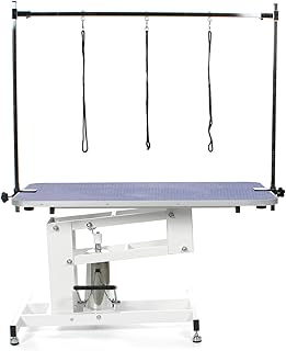 Large Professional Heavy Duty Hydraulic Dog Grooming Table with H Bar Blue